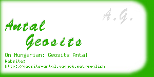 antal geosits business card